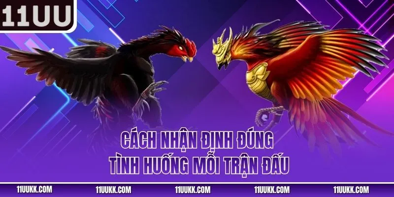 Cách nhận định đúng tình huống mỗi trận đấu