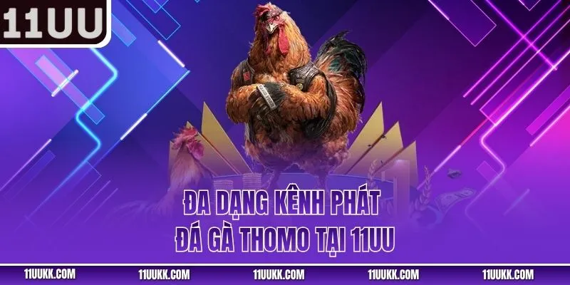 Đa dạng kênh phát đá gà Thomo tại 11UU