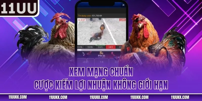 Xem mạng chuẩn, cược kiếm lợi nhuận không giới hạn